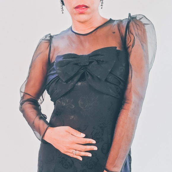 Vintage Organza Dress - Picture 2 of 11